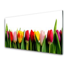 tulup.sk Obraz na skle Tulipány rastlina 120x60 cm 4 Prívesky