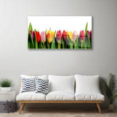 tulup.sk Obraz na skle Tulipány rastlina 120x60 cm 4 Prívesky