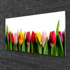 tulup.sk Obraz na skle Tulipány rastlina 120x60 cm 4 Prívesky