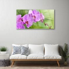 tulup.sk Skleneny obraz Vstavač orchidea kvety 100x50 cm 2 Prívesky