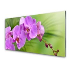 tulup.sk Skleneny obraz Vstavač orchidea kvety 100x50 cm 2 Prívesky