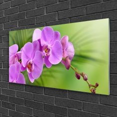 tulup.sk Skleneny obraz Vstavač orchidea kvety 100x50 cm 2 Prívesky