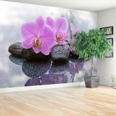 tulup.sk Fototapeta Orchidea kamene Vliesová fototapeta 208x146 cm