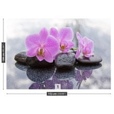 tulup.sk Fototapeta Orchidea kamene Samolepiaca fototapeta 104x70 cm