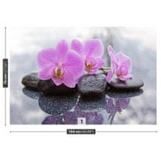 tulup.sk Fototapeta Orchidea kamene Samolepiaca fototapeta 104x70 cm