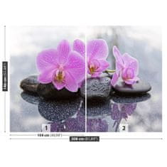 tulup.sk Fototapeta Orchidea kamene Samolepiaca fototapeta 104x70 cm