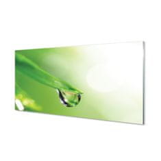 tulup.sk Obraz plexi Drop list slnko 120x60 cm 4 Prívesky