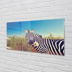 tulup.sk Obraz na akrylátovom skle Zebra kvety 120x60 cm 4 Prívesky