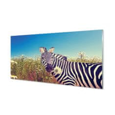 tulup.sk Obraz na akrylátovom skle Zebra kvety 120x60 cm 4 Prívesky