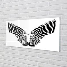 tulup.sk Nástenný panel  zrkadlo zebra 100x50 cm