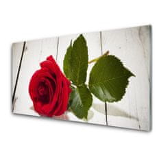 tulup.sk Skleneny obraz Ruže kvet rastlina 140x70 cm 4 Prívesky