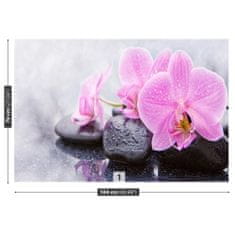 tulup.sk Fototapeta Orchidea kamene Samolepiaca fototapeta 104x70 cm