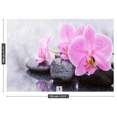 tulup.sk Fototapeta Orchidea kamene Samolepiaca fototapeta 104x70 cm