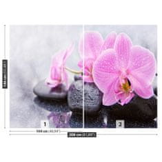 tulup.sk Fototapeta Orchidea kamene Samolepiaca fototapeta 104x70 cm