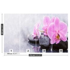 tulup.sk Fototapeta Orchidea kamene Vliesová fototapeta 416x254 cm