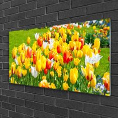 tulup.sk Skleneny obraz Tulipány kvety príroda 100x50 cm 2 Prívesky