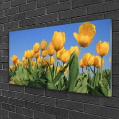 tulup.sk Skleneny obraz Tulipány kvety rastlina 100x50 cm 4 Prívesky