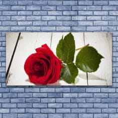 tulup.sk Skleneny obraz Ruže kvet rastlina 140x70 cm 4 Prívesky