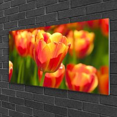 tulup.sk Skleneny obraz Tulipány kvety rastlina 100x50 cm 2 Prívesky