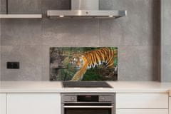 tulup.sk Nástenný panel Tiger Woods 100x50 cm