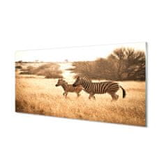 tulup.sk Nástenný panel  Zebra poľa sunset 120x60 cm