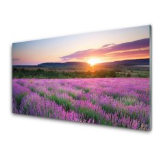 tulup.sk Skleneny obraz Levanduľa pole lúka západ 100x50 cm 4 Prívesky