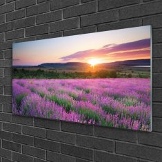 tulup.sk Skleneny obraz Levanduľa pole lúka západ 100x50 cm 4 Prívesky