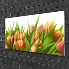 tulup.sk Skleneny obraz Tulipány kvety rastlina 100x50 cm 2 Prívesky