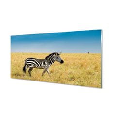 tulup.sk Nástenný panel  Zebra box 140x70 cm