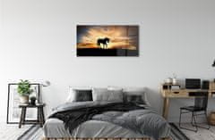 tulup.sk Obraz na akrylátovom skle Unicorn sunset 120x60 cm 2 Prívesky