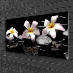 tulup.sk Obraz na skle Kvet kamene rastlina 120x60 cm 2 Prívesky