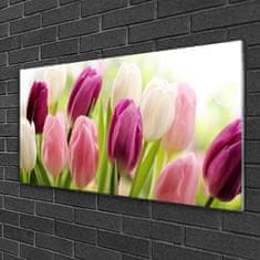 tulup.sk Skleneny obraz Tulipány kvety príroda lúka 100x50 cm 2 Prívesky