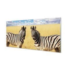 tulup.sk Nástenný panel  zebra box 100x50 cm