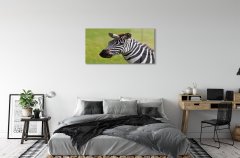 tulup.sk Sklenený obraz zebra 120x60 cm 4 Prívesky