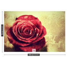 tulup.sk Fototapeta Červená ruža Samolepiaca fototapeta 104x70 cm