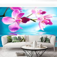 tulup.sk Fototapeta Voda orchidea Vliesová fototapeta 208x146 cm