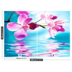 tulup.sk Fototapeta Voda orchidea Vliesová fototapeta 208x146 cm