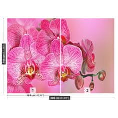 tulup.sk Fototapeta Ružová orchidea Samolepiaca fototapeta 312x219 cm