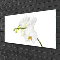 tulup.sk Obraz plexi Orchidea kvety príroda 100x50 cm 2 Prívesky