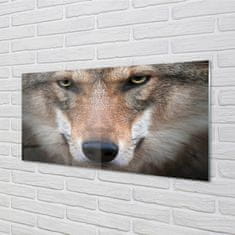 tulup.sk Nástenný panel  wolf Eyes 100x50 cm