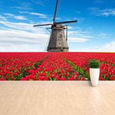 tulup.sk Fototapeta Veterný mlyn tulipány Samolepiaca fototapeta 104x70 cm