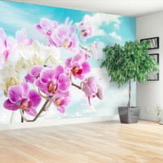 tulup.sk Fototapeta Orchidey modrá Vliesová fototapeta 208x146 cm