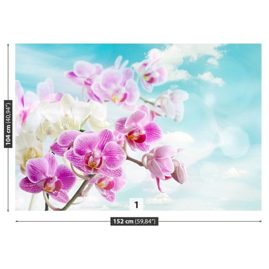 tulup.sk Fototapeta Orchidey modrá Vliesová fototapeta