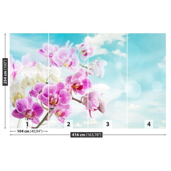 tulup.sk Fototapeta Orchidey modrá Vliesová fototapeta