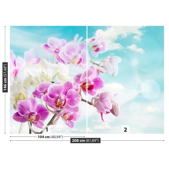 tulup.sk Fototapeta Orchidey modrá Vliesová fototapeta