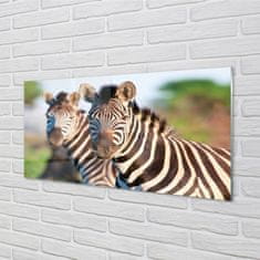 tulup.sk Nástenný panel  zebra 100x50 cm