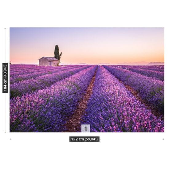 tulup.sk Fototapeta Provence levandule Vliesová fototapeta