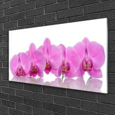 tulup.sk Skleneny obraz Ružová orchidea kvety 100x50 cm 2 Prívesky