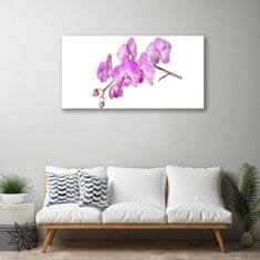 tulup.sk Skleneny obraz Vstavač orchidea kvety 100x50 cm 4 Prívesky