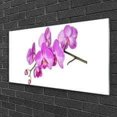 tulup.sk Skleneny obraz Vstavač orchidea kvety 100x50 cm 4 Prívesky